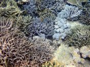 140.jpeg - 2018:09:11 22:59:56