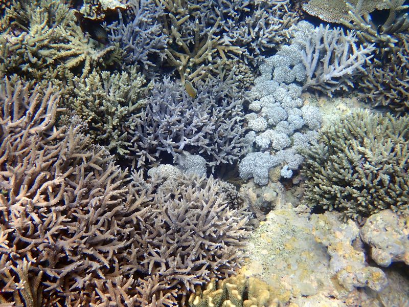 Viewing photos→2018→2018-09-12→140