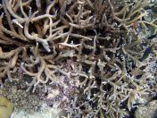 141.jpeg - 2018:09:11 23:00:16