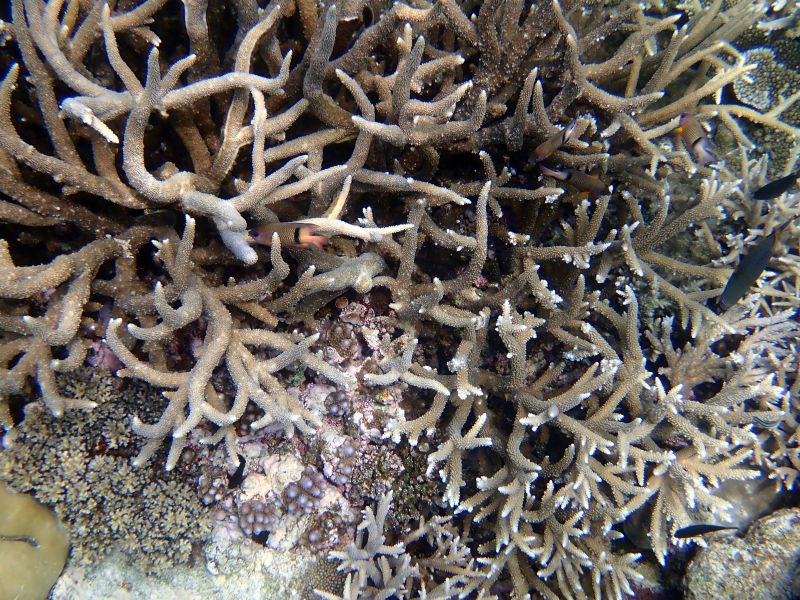 Viewing photos→2018→2018-09-12→141