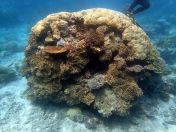 142.jpeg - 2018:09:11 23:00:44