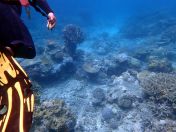 143.jpeg - 2018:09:11 23:02:05