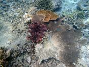 144.jpeg - 2018:09:11 23:02:36