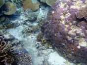 145.jpeg - 2018:09:11 23:02:47