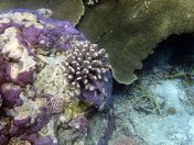 146.jpeg - 2018:09:11 23:02:51