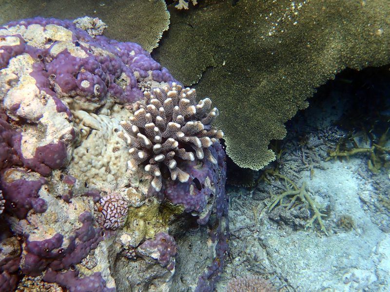 Viewing photos→2018→2018-09-12→146