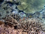 147.jpeg - 2018:09:11 23:03:04