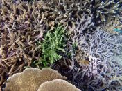 148.jpeg - 2018:09:11 23:03:09