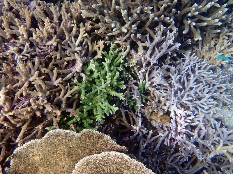 Viewing photos→2018→2018-09-12→148