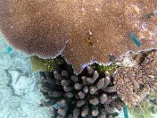 149.jpeg - 2018:09:11 23:03:31