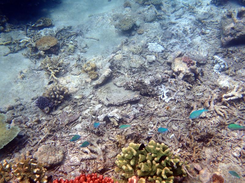 Viewing photos→2018→2018-09-12→150