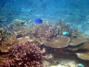 151.jpeg - 2018:09:11 23:03:46