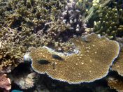 152.jpeg - 2018:09:11 23:04:03