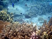 153.jpeg - 2018:09:11 23:04:04