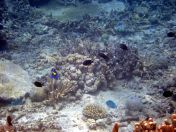 154.jpeg - 2018:09:11 23:04:10