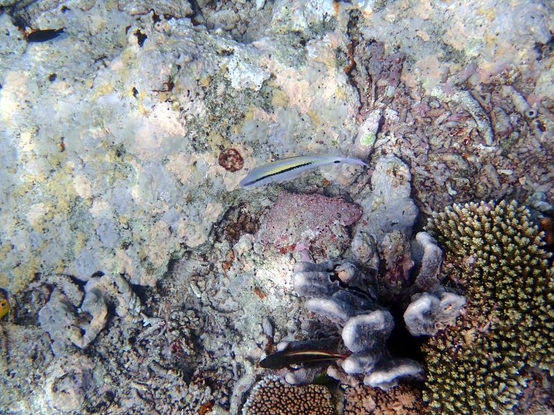 Viewing photos→2018→2018-09-12→155