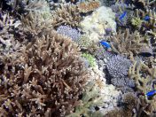 156.jpeg - 2018:09:11 23:05:30