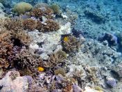 157.jpeg - 2018:09:11 23:05:50