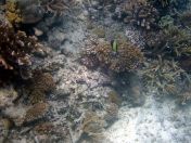 158.jpeg - 2018:09:11 23:06:15