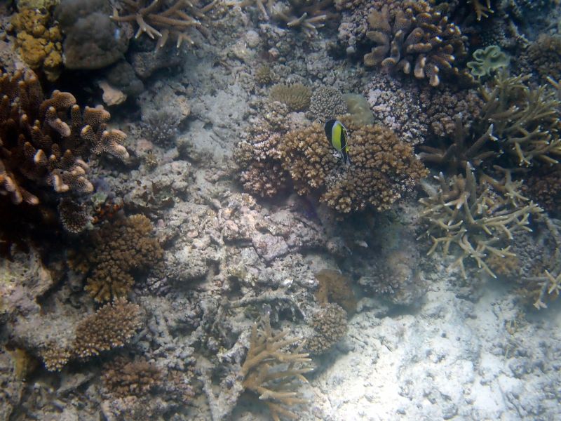 Viewing photos→2018→2018-09-12→158