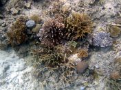 159.jpeg - 2018:09:11 23:07:09