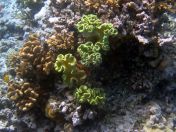 160.jpeg - 2018:09:11 23:08:38