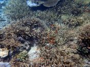 161.jpeg - 2018:09:11 23:09:31