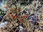 162.jpeg - 2018:09:11 23:09:38