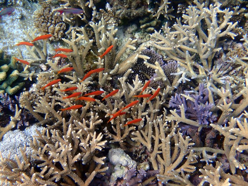 Viewing photos→2018→2018-09-12→162