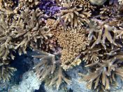 163.jpeg - 2018:09:11 23:10:22