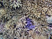 164.jpeg - 2018:09:11 23:10:23