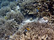 165.jpeg - 2018:09:11 23:10:36