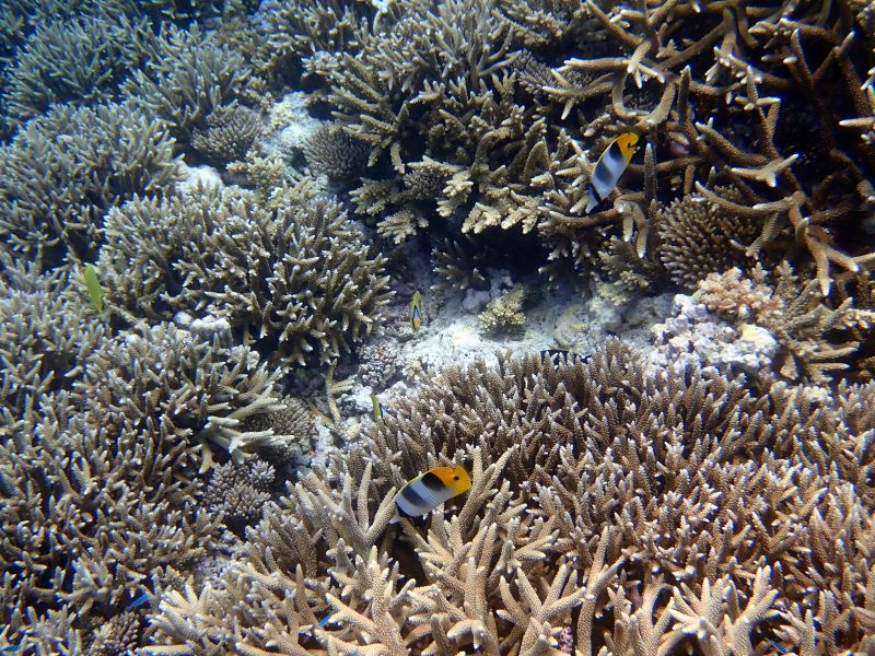 Viewing photos→2018→2018-09-12→165