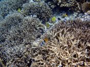 166.jpeg - 2018:09:11 23:10:37