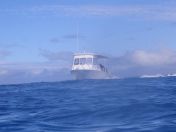 167.jpg - 2018:09:11 23:17:03