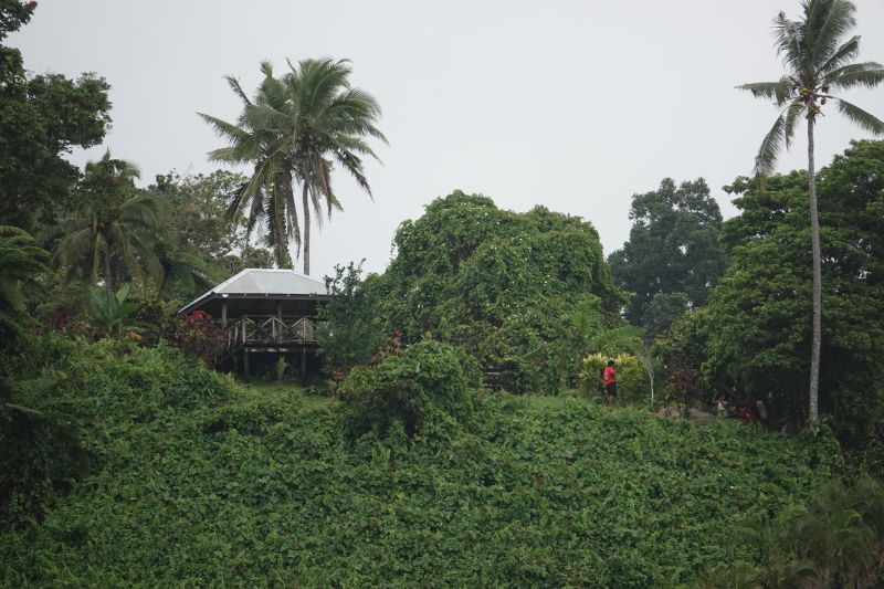 Viewing photos→2018→2018-09-13→01