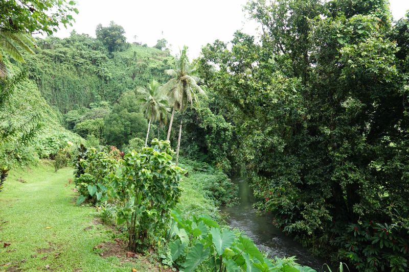 Viewing photos→2018→2018-09-13→04