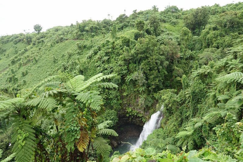 Viewing photos→2018→2018-09-13→08