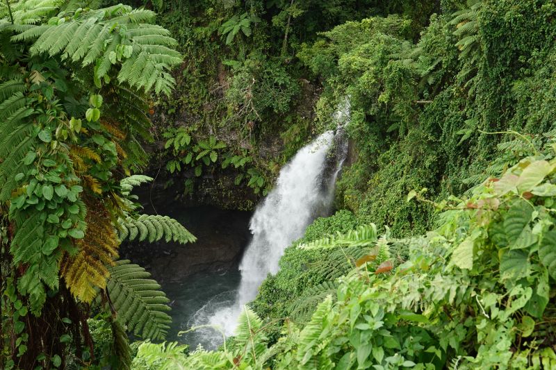 Viewing photos→2018→2018-09-13→09