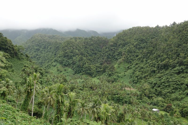 Viewing photos→2018→2018-09-13→10