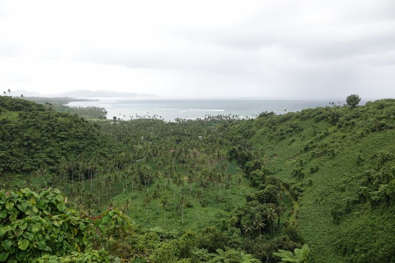 Viewing photos→2018→2018-09-13→11