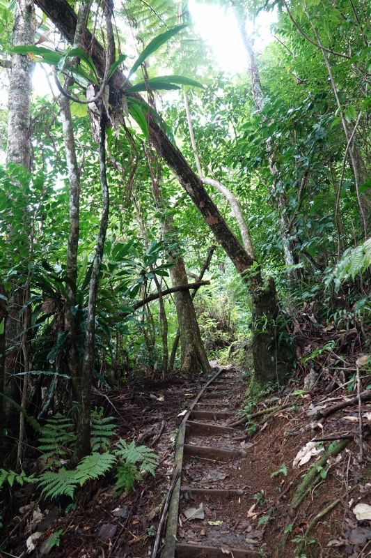 Viewing photos→2018→2018-09-13→13