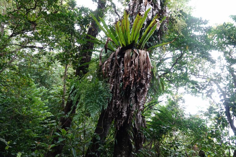 Viewing photos→2018→2018-09-13→14