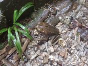 18.jpg - 2018:09:12 23:23:33