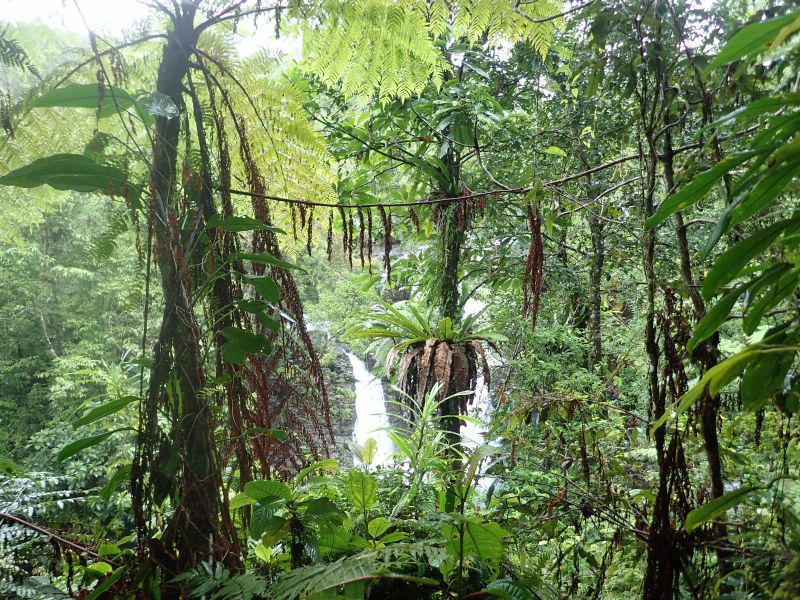 Viewing photos→2018→2018-09-13→19