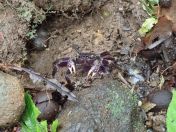 30.jpg - 2018:09:12 23:56:24