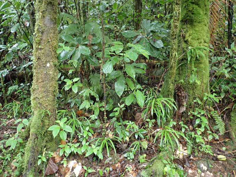 Viewing photos→2018→2018-09-13→31