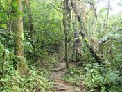 32.jpg - 2018:09:13 00:00:38