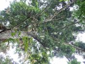 33.jpg - 2018:09:13 00:10:47