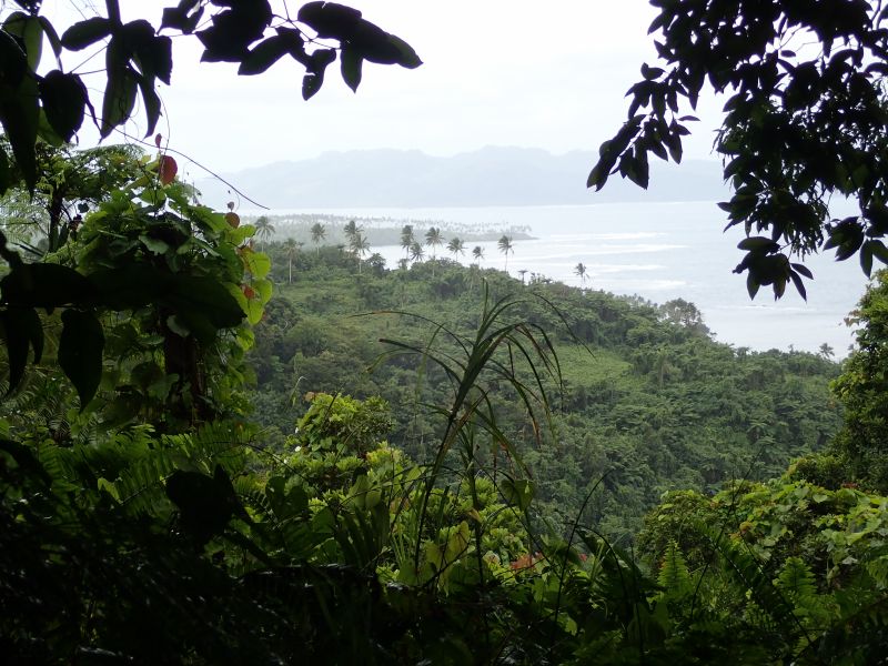 Viewing photos→2018→2018-09-13→34